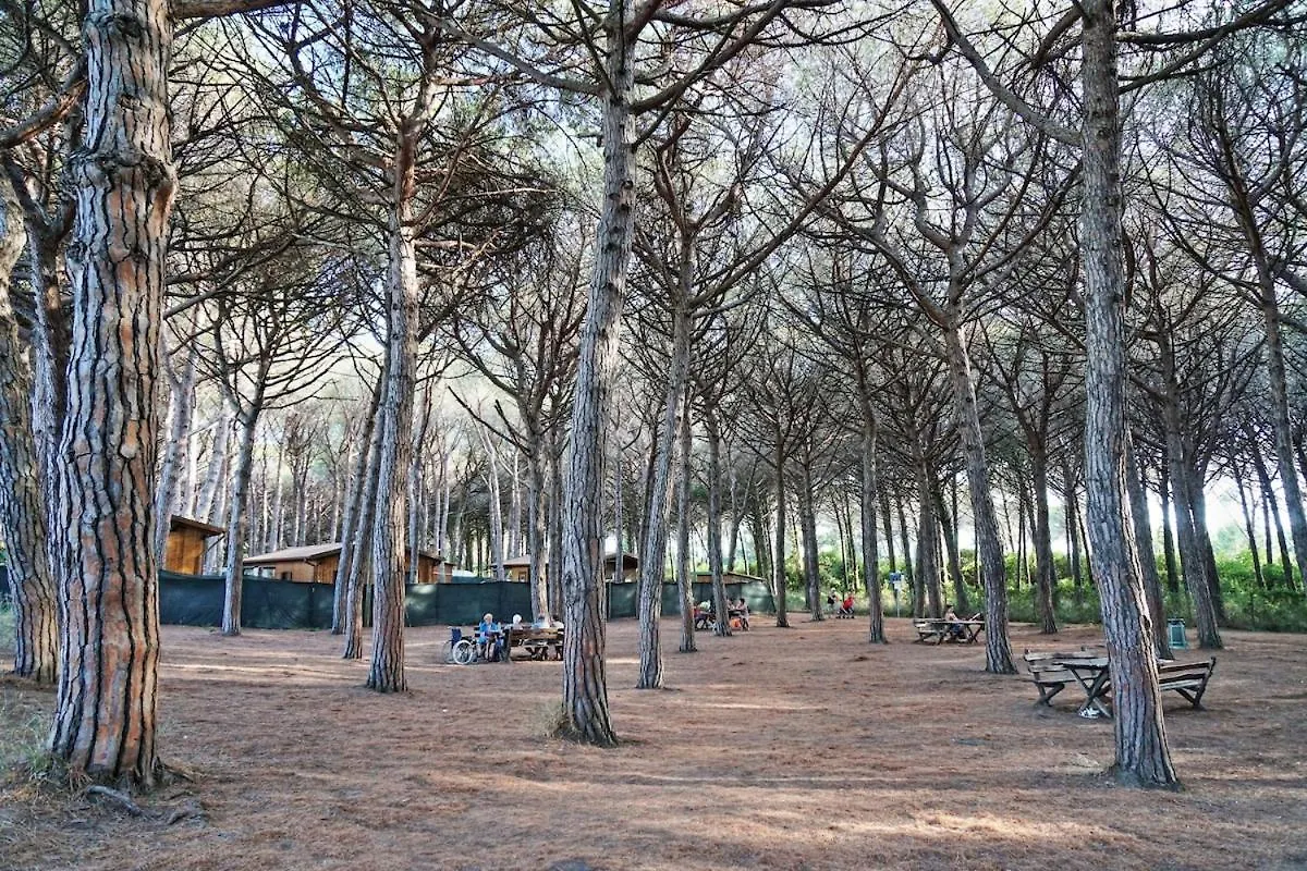La Maison Al Mare Cecina  Cecina (Livorno)